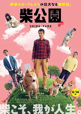 正片