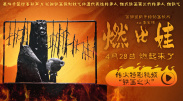 蓝光完整版在线看