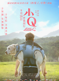 HD手机免费观看完整